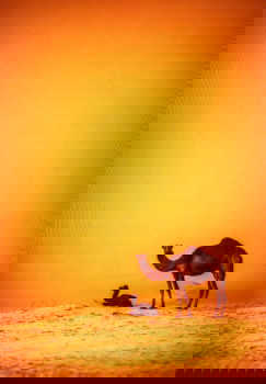 ING_13573_07543
