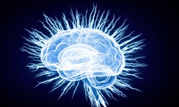 Digital human brain Concept of human intelligence with human brain on blue digital background