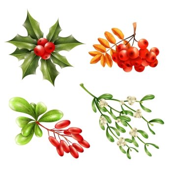 Christmas Berry Branches Set Flat christmas berries and branches set with mistletoe ashberry barberry isolated on white background vector illustratio