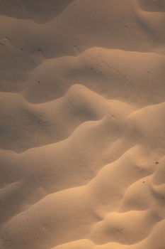 ISS_4280_08341