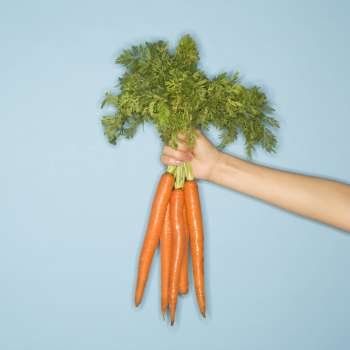 Caucasian woman arm holding out fresh bunch of carrots against blue background