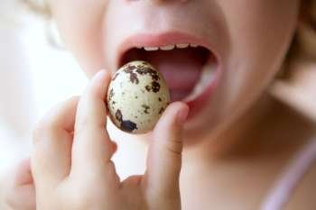 Little girl holding quail egg pretending to eat