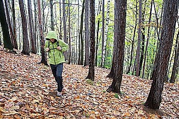 Hiker walks on a path in a woods Raining day  fall season Horizontal shape