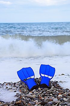 flippers on stony beach