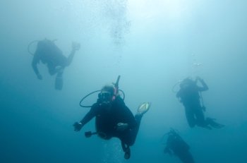 Scuba divers swimming underwater  San Cristobal Island  Galapagos Islands  Ecuador