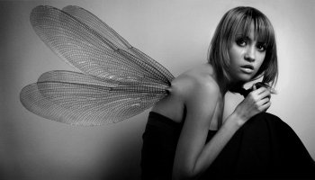Portrait of girl with wings Studio fashion photo