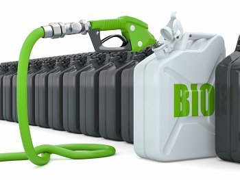 Biofuel Gas pump nozzle and jerrycan 3d