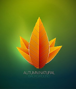 Vector autumn seasonal nature background with leaves