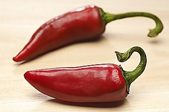 Two red chili peppers  close-up