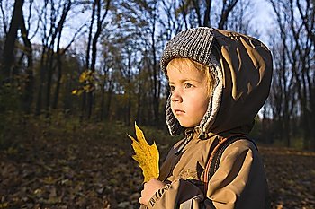 Boy holding leaf in park