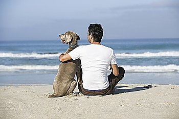 South Africa  Cape Town  Man and dog sitting beach