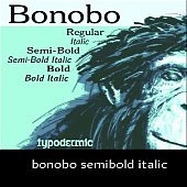 BonoboSb-Italic