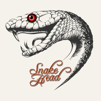 snake head front view mouth open