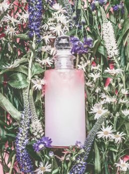Natural cosmetics bottle with pastel pink essence  tonic  cleansing oil   emulsion or peeling on herbal leaves and wild flowers background  copy space