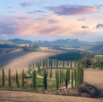 Cypress road throug sunny morning Tuscany valley  Italy