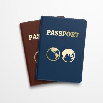 International passport cover template Royalty Free Vector