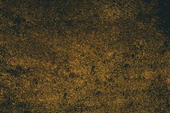 IST_17474_81329
