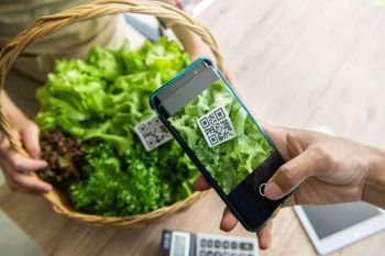 Customers buy organic vegetables from hydroponics farm and pay using QR code scanning system payment at food market shop Technology and futuristic bu