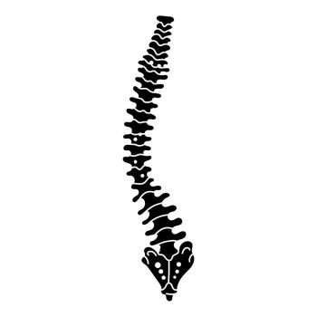 spine silhouette