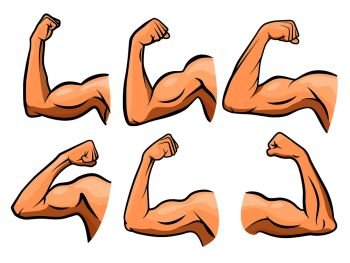 Flex muscle body icon cartoon strong arm Vector Image