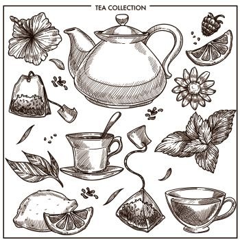 Premium Vector  Hand drawn tea set with teapot and a cup isolated