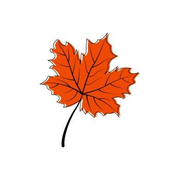 Autumn maple leaf clipart vector.