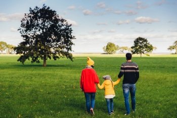 Happy family hold hands  walk on green meadow or field  stand back to camera  enjoy freedom  togetherness and beautiful landscapes Spending family ti