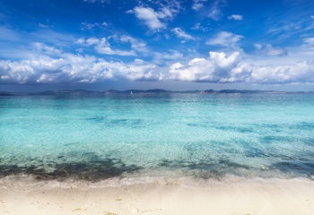 IST_31814_03785
