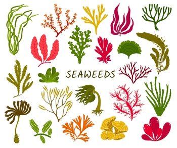 Bright seaweeds aquarium decoration cartoon Vector Image