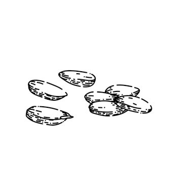 Drying Rice Drawing Rice Grain Drawing