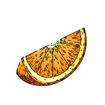 orange slice sketch