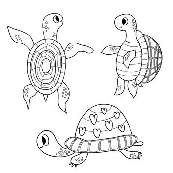Cute turtle. Vector illustration. Outline drawing cartoon animal For kids  collection, design, decor, cards, print, coloring page. 17188852 Vector Art  at Vecteezy