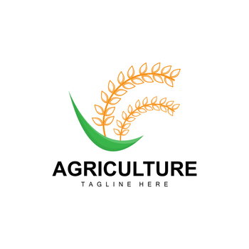Sign For Rice Rice Symbol