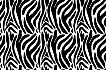 Camera Zebra Pattern Seamless Zebra Pattern