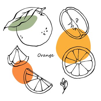 orange drawing outline