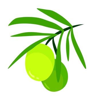 Cartoon olive branch with green foliage organic Vector Image