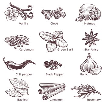 Assortment Of Herbs And Spices For Cooking Isolated On A White