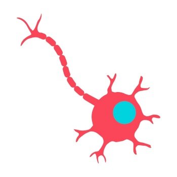 cell nucleus clipart