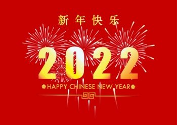 Chinese new year fireworks greeting card Vector Image