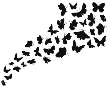 flying butterflies clipart black and white