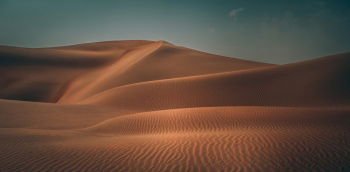 INH_13573_11362