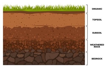 Soil layer infographics  earth texture horizon  subsoil land and underground  vector cross section Geology soil layer and ground structure diagram wi
