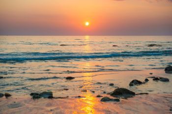 INH_18985_08458