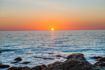 INH_18985_08479