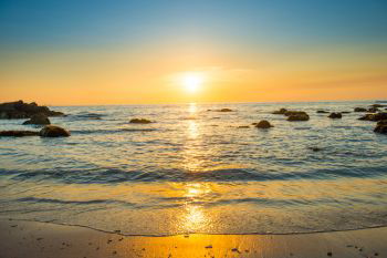 INH_18985_08504