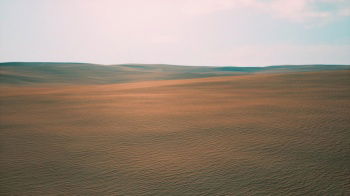 INH_19017_15335
