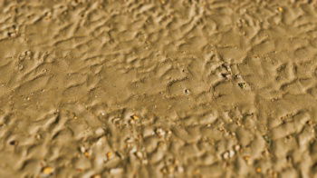 INH_19017_15396