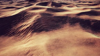 INH_19017_15596