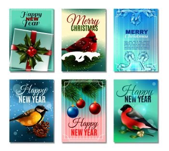 Set of christmas winter cards with birds  fir branches and berries  holiday decorations  snow isolated vector illustration Christmas Winter Cards Set
