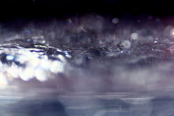 INH_65553_95532